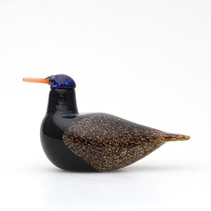 Birds Duck ブラウン 0073