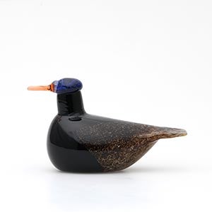 Birds Duck ブラウン 0075