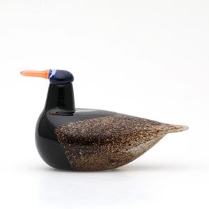 Birds Duck ブラウン 0091