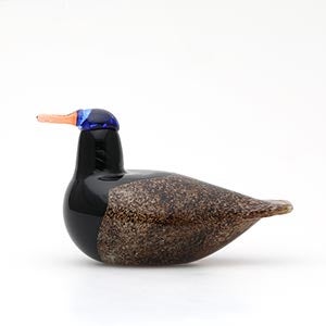 Birds Duck ブラウン 0094