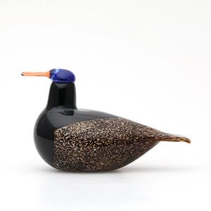 Birds Duck ブラウン 0098