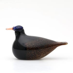 Birds Duck ブラウン 0099