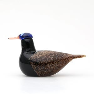 Birds Duck ブラウン 0104