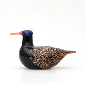 Birds Duck ブラウン 0106