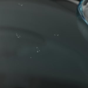 Birds  Festive Kiwi 1002