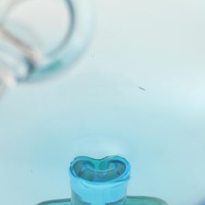 Birds  Festive Kiwi 1015