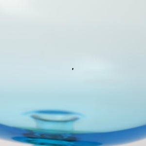 Birds  Festive Kiwi 1023