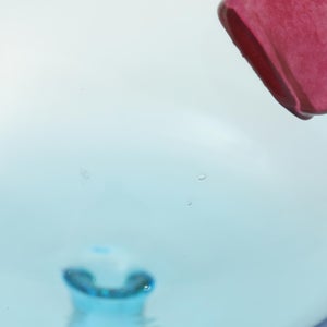 Birds  Festive Kiwi 1025