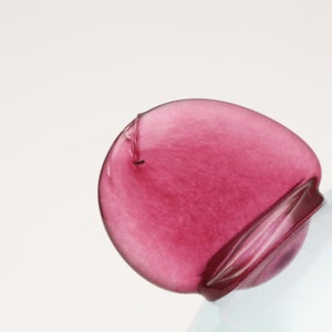 Birds  Festive Kiwi 1028