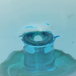 Birds  Festive Kiwi 1035