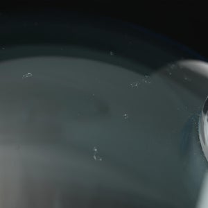 Birds  Festive Kiwi 1042