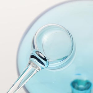 Birds  Festive Kiwi 1057