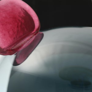 Birds  Festive Kiwi 1064