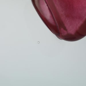 Birds  Festive Kiwi 1069