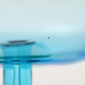 Birds  Festive Kiwi 1070