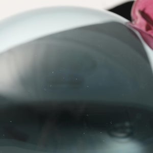 Birds  Festive Kiwi 1074