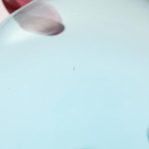 Birds  Festive Kiwi 1087