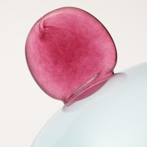 Birds  Festive Kiwi 1088