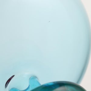 Birds  Festive Kiwi 1089