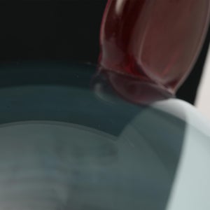 Birds  Festive Kiwi 1092