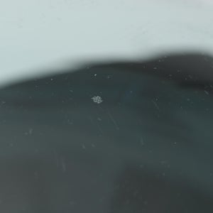 Birds  Festive Kiwi 1093