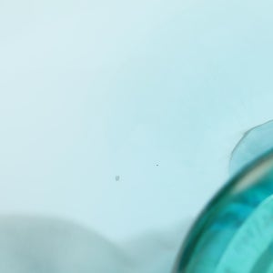 Birds  Festive Kiwi 1108