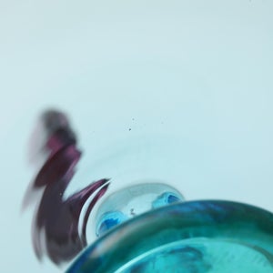 Birds  Festive Kiwi 1109