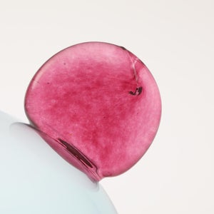 Birds  Festive Kiwi 1110