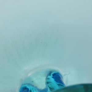 Birds  Festive Kiwi 1111