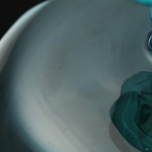 Birds  Festive Kiwi 1116