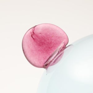 Birds  Festive Kiwi 1117