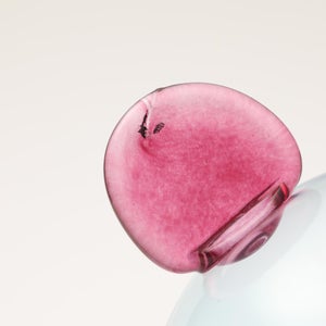 Birds  Festive Kiwi 1129