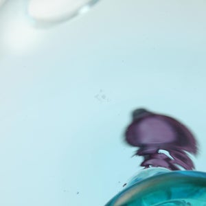 Birds  Festive Kiwi 1148