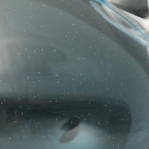 Birds  Festive Kiwi 1150