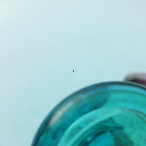 Birds  Festive Kiwi 1168