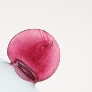 Birds  Festive Kiwi 1178