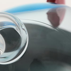 Birds  Festive Kiwi 1193