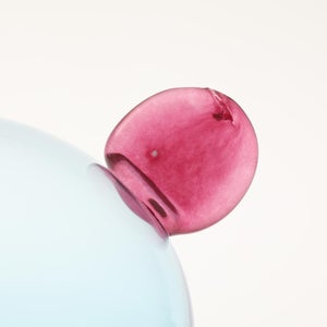 Birds  Festive Kiwi 1209