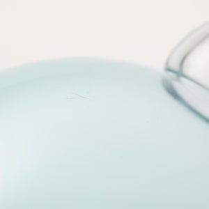 Birds  Festive Kiwi 1216