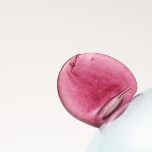 Birds  Festive Kiwi 1224