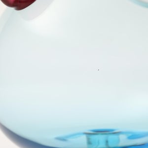 Birds  Festive Kiwi 1234