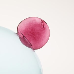 Birds  Festive Kiwi 1236