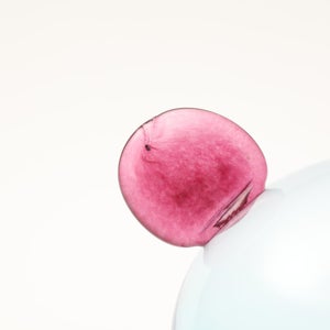 Birds  Festive Kiwi 1253