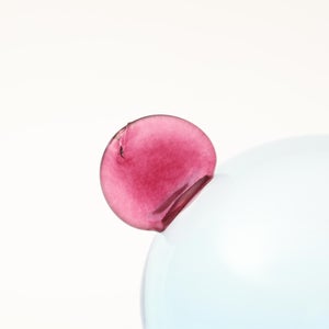 Birds  Festive Kiwi 1263