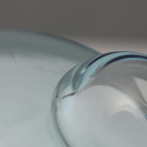 Birds  Festive Kiwi 1019