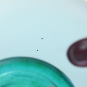 Birds  Festive Kiwi 1028