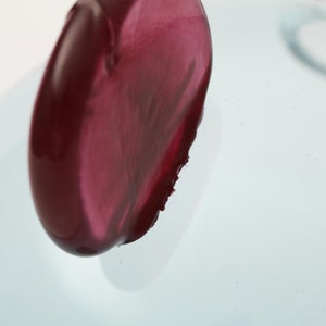 Birds  Festive Kiwi 1042