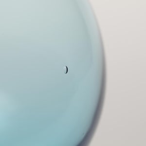 Birds  Festive Kiwi 1064