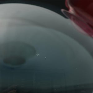 Birds  Festive Kiwi 1075