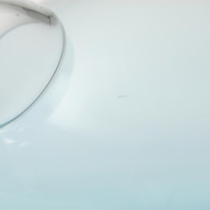 Birds  Festive Kiwi 1090